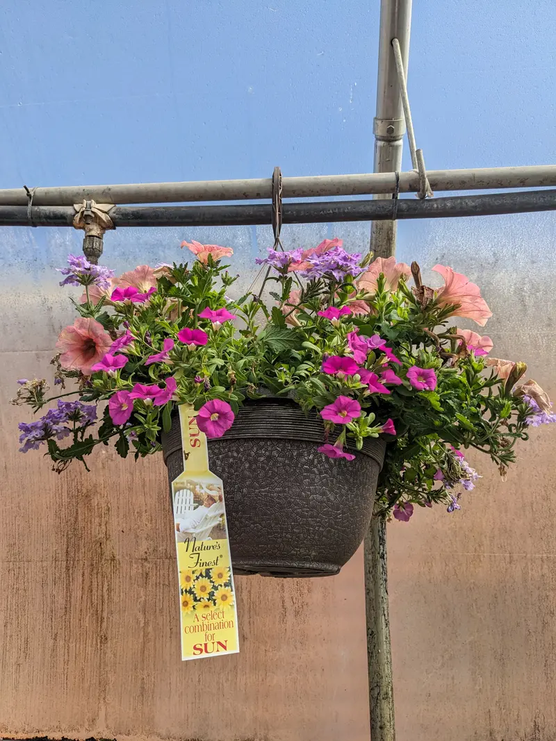 12" Basket Sun Combination