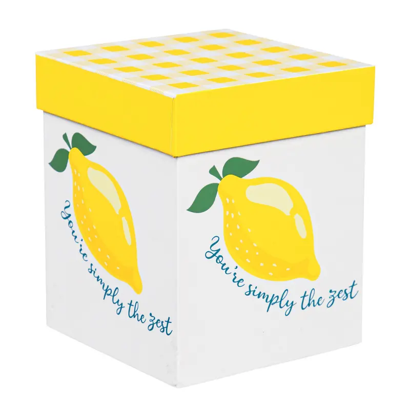 17 OZ Stemless Glass w/Box, You're simply the Zest