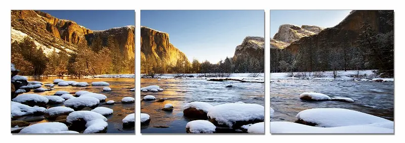 24" Canvas 3 Panels Color Photo By Homeroots
