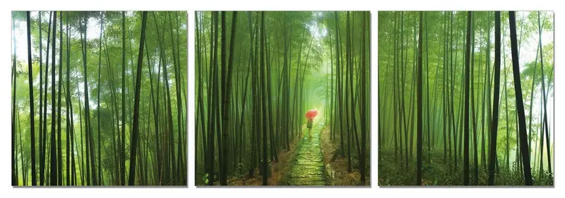 24" Canvas 3 Panels Forest Color Photo By Homeroots