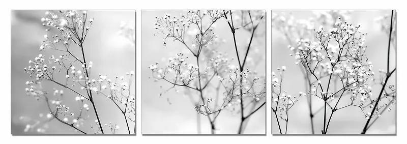 24" Canvas 3 Panels Photo By Homeroots