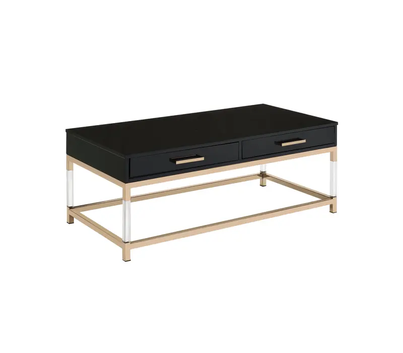 44" Gold And Black High Gloss Manufactured Wood And Metal Rectangular Coffee Table With Two Drawers By Homeroots