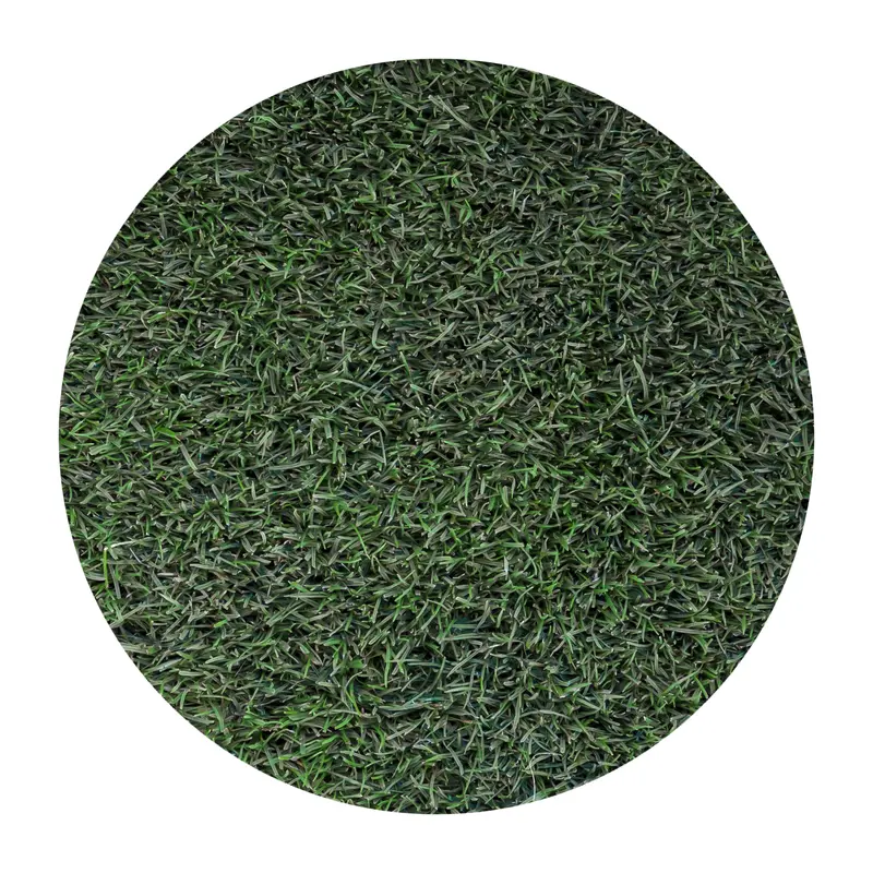 90/10 Tall Fescue