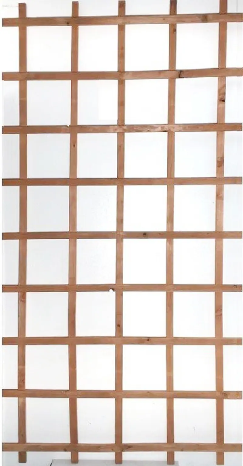 A&G Ladder Trellis