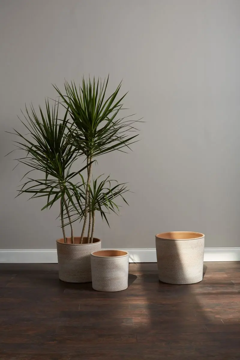 Aleppo Pot By Accent Decor