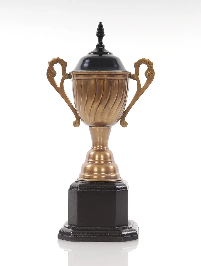 Alum Wooden Trophy Big By Homeroots