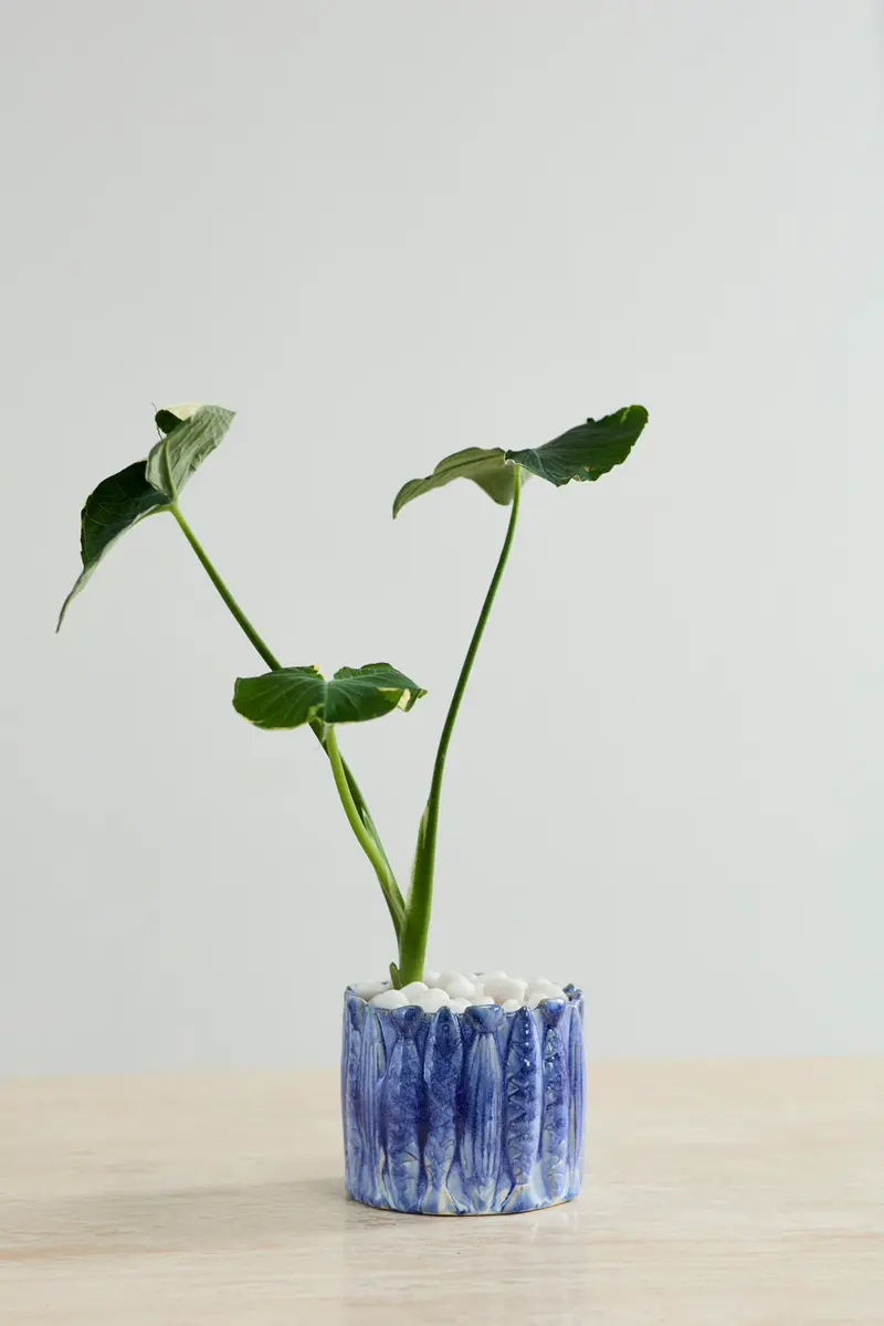 Amalfi Pot Set of 4 By Accent Decor