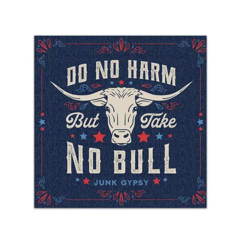 Americana BOHO by JG, Quick Dry Dish Cloth, Set of 3, 10" x 10"