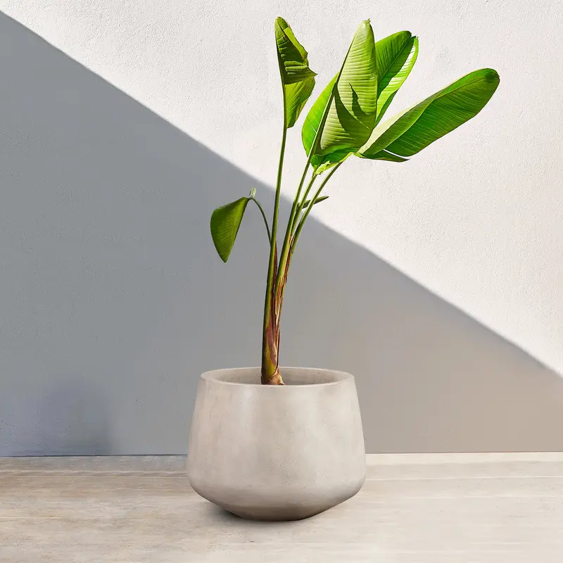 Amethyst Medium Round Lightweight White Concrete Indoor or Outdoor Planter in white By Armen Living