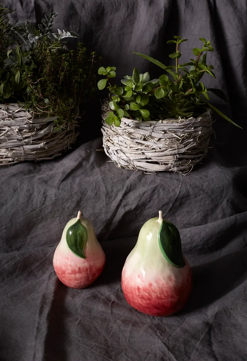 Anjou Pear Set of 4 By Accent Decor