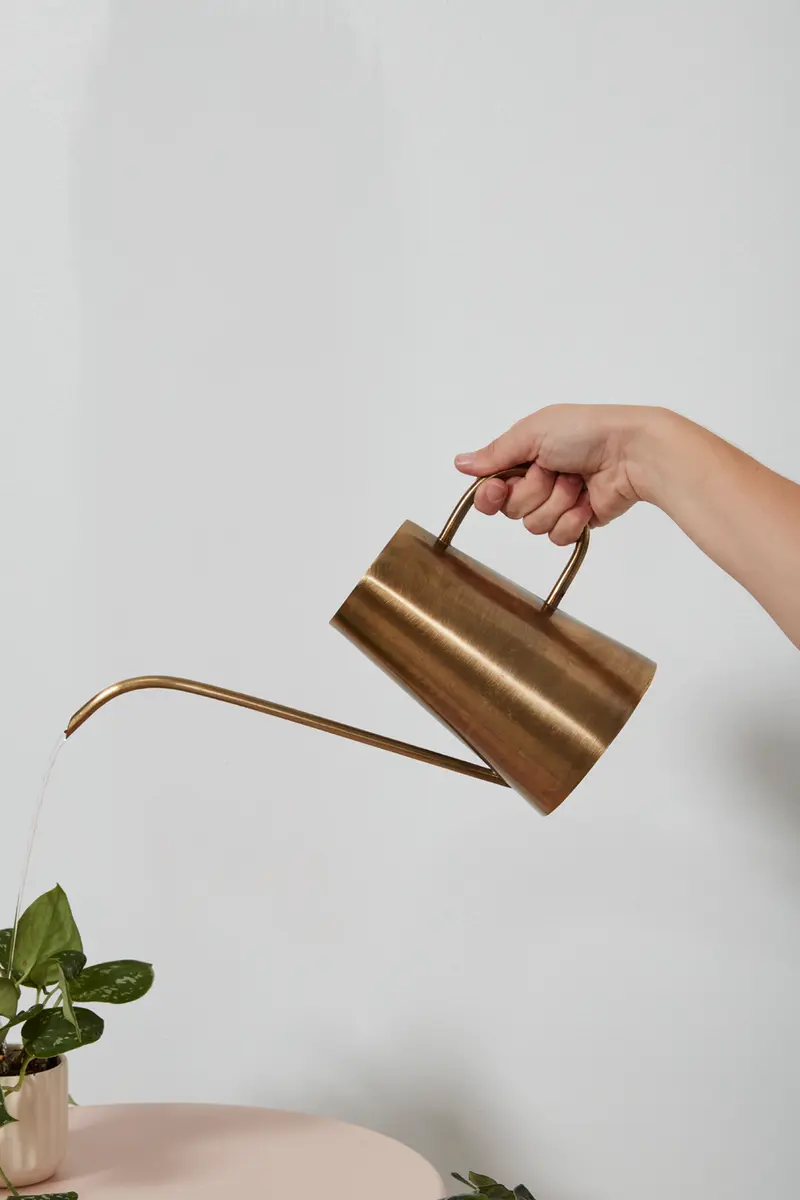 Antalya Watering Can Set of 2 By Accent Decor