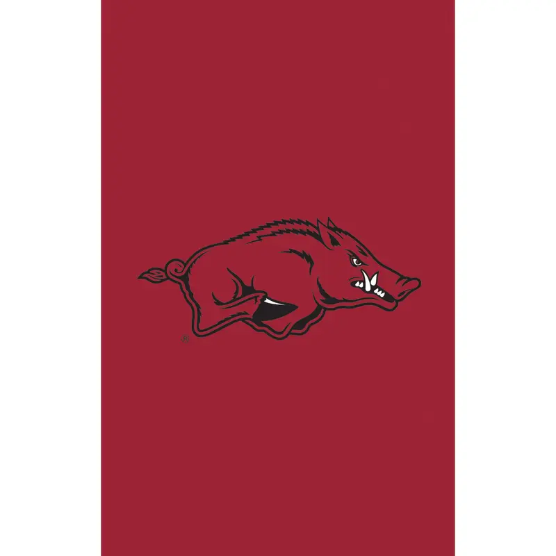 Applique Flag, Gar., University of Arkansas,16a911