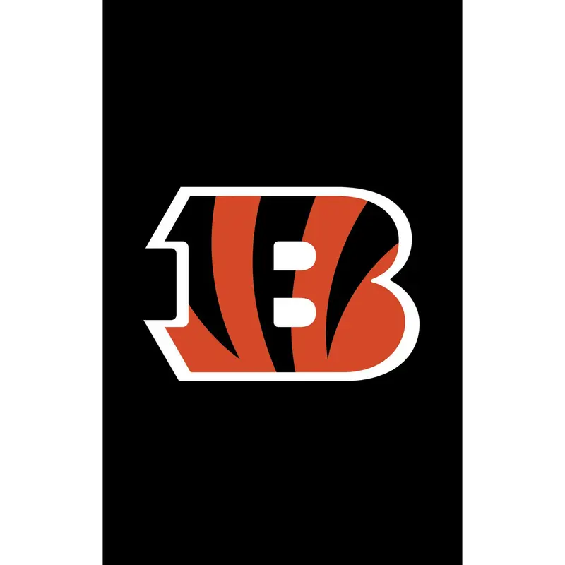 Applique Flag, Reg, Cincinnati Bengals,15a3806