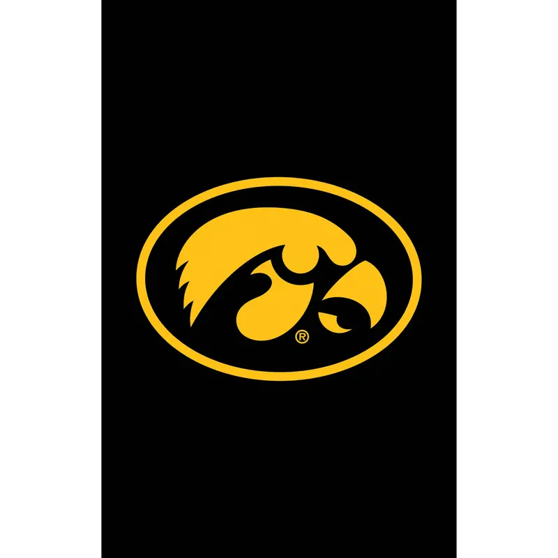 Applique Flag, Reg, University of Iowa,15a980