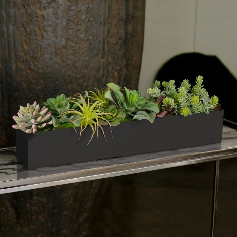 Arid Mix 1 in Painted Black Iron Table Planter By Gold Leaf