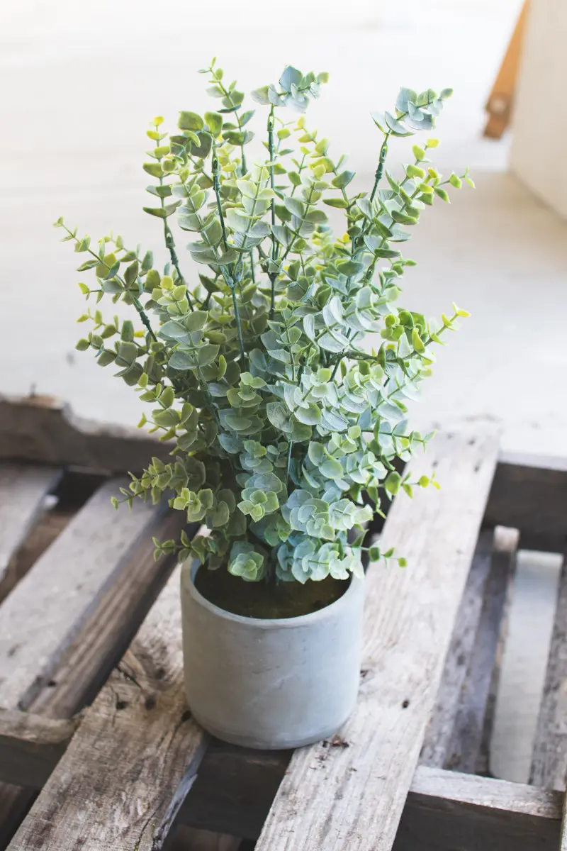 Artificial Boxwood In A Cement Pot Set Of 4 By Kalalou