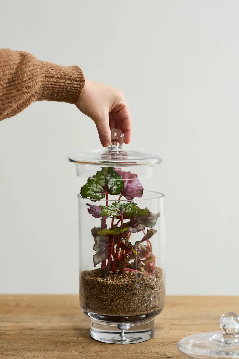 Asteridge Terrarium Set of 2 By Accent Decor