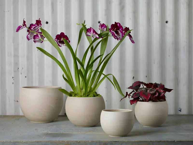 Astrid Pot Set of 4 By Accent Decor