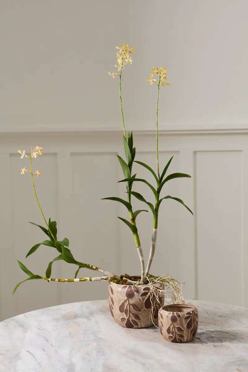 Autumn Pear Pot Set of 4 By Accent Decor