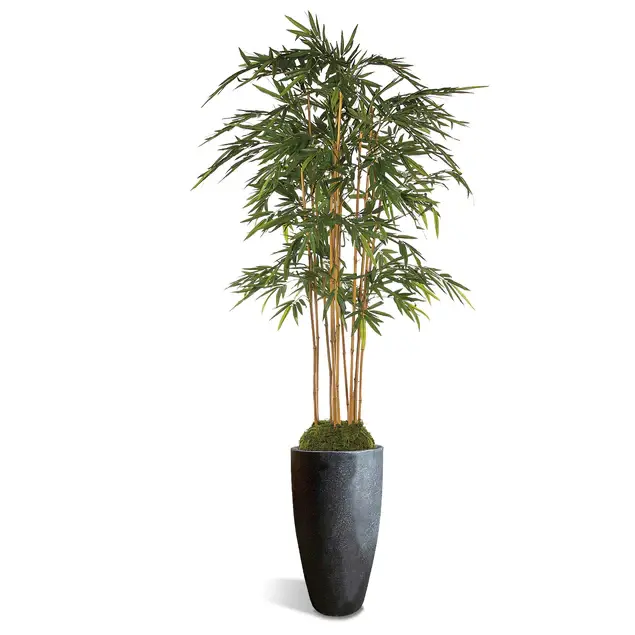 Bamboo Tree in Kawa Planter, Black By Gold Leaf Design Group