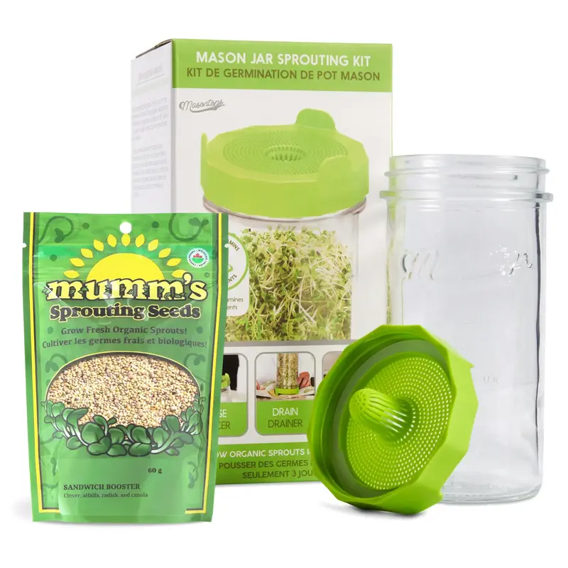 Bean Sprouting Set with Jar, Seeds, and Lid