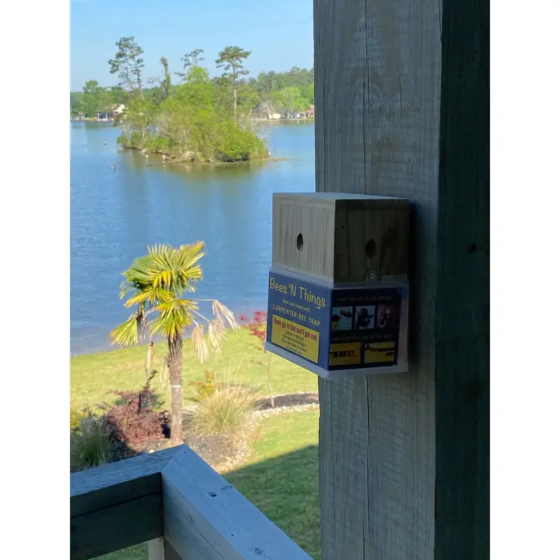Bees N Things Odorless Outdoor Removable Carpenter Bee Trap - Deal of The Week