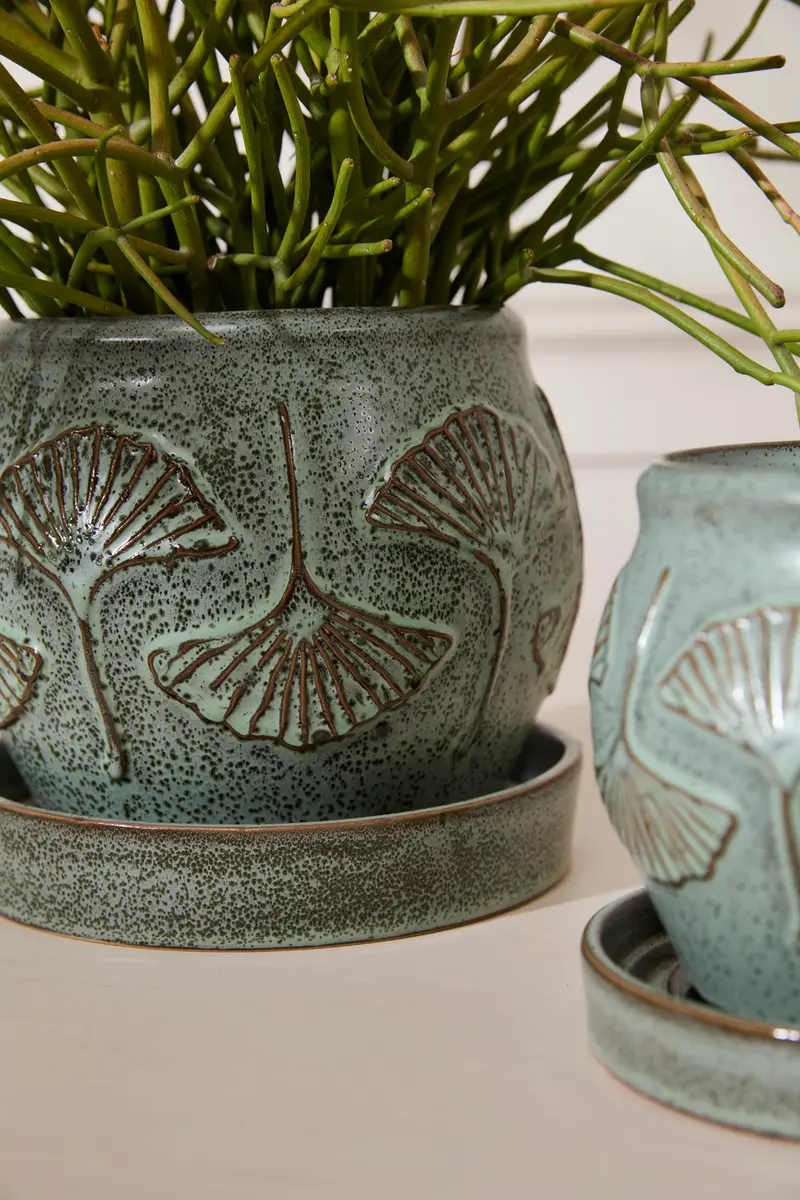 Biloba Pot with Saucer Set of 2 By Accent Decor