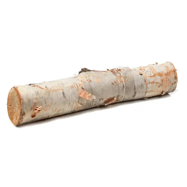 Birch Log 12"-15"Lx1"-2"D Set Of 24 By Gold Leaf Design Group