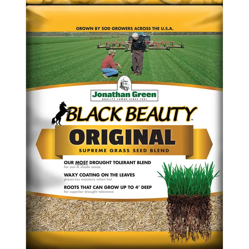 Black Beauty® Original Grass Seed 5 Lb - Deal of The Week