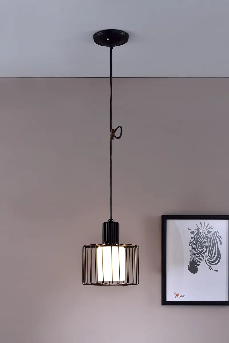 Black Metal Cage Hanging Light By Homeroots