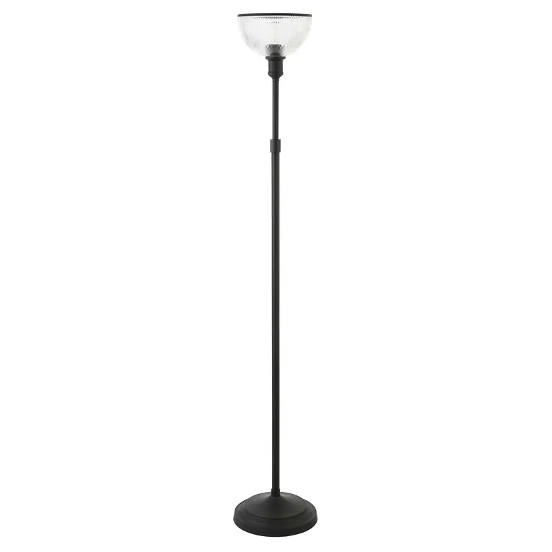 Black Novelty Floor Lamp With Clear Transparent Glass Dome Shade By Homeroots