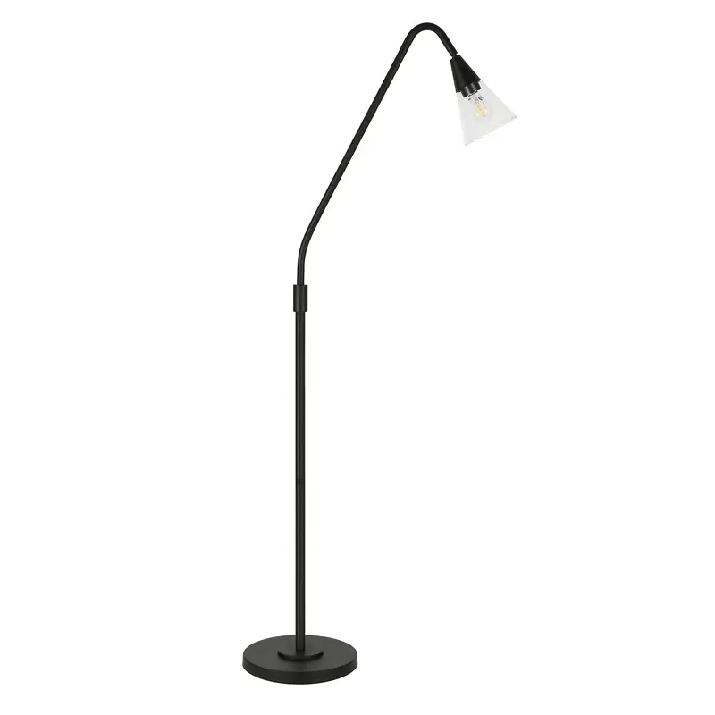 Black Reading Floor Lamp With Clear Transparent Glass Dome Shade By Homeroots
