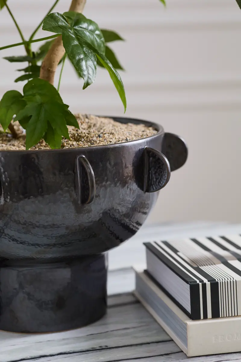 Black Reverie Bowl By Accent Decor