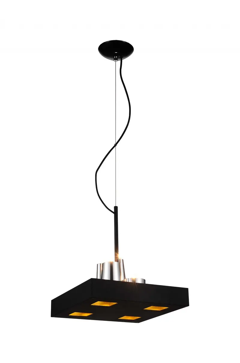 Black Stainless Steel Pendant Lamp