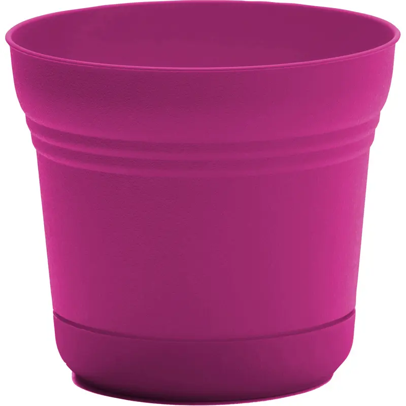 Bloem Saturn Planter 10 in. Dia. Plastic Flower Pot Fuchsia