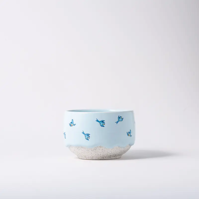 Bluebird Capp