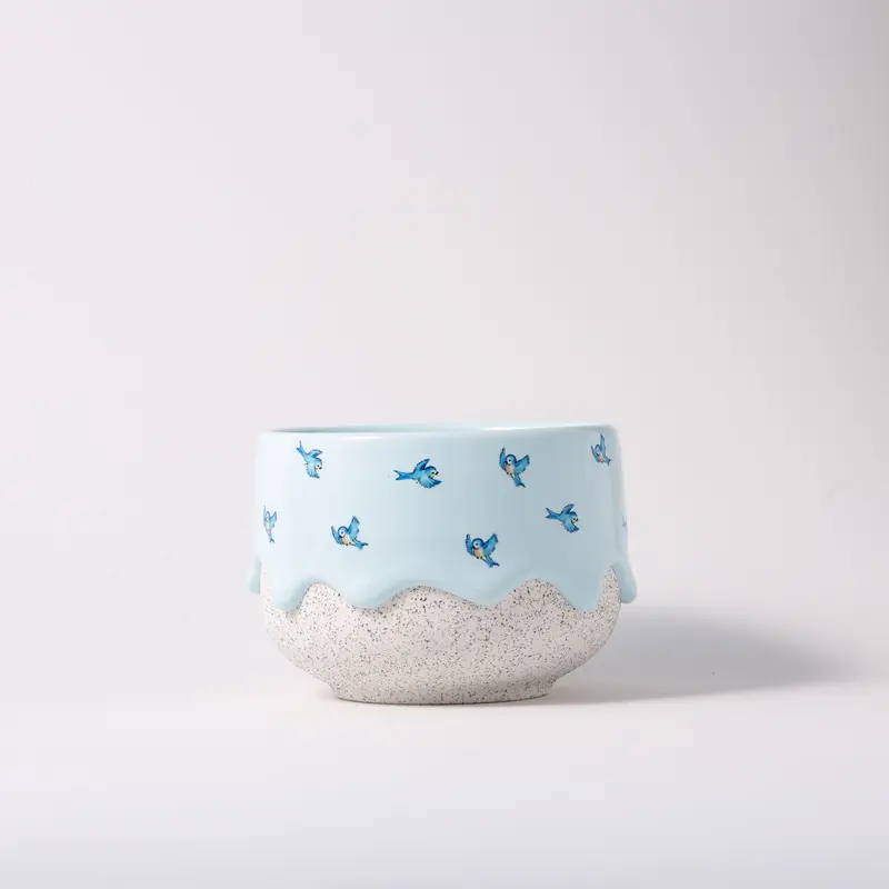 Bluebird Noodle