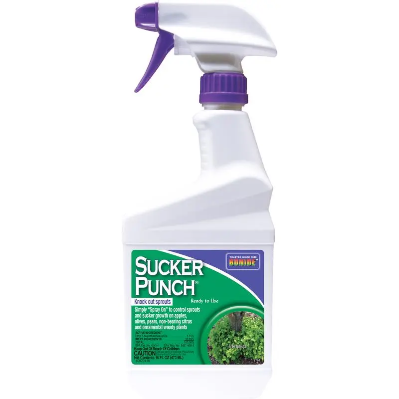 Bonide Ready to Use Water Based Sucker Punch Growth Regulator Knock Out Sprouts 1 pt. - Deal of The Week