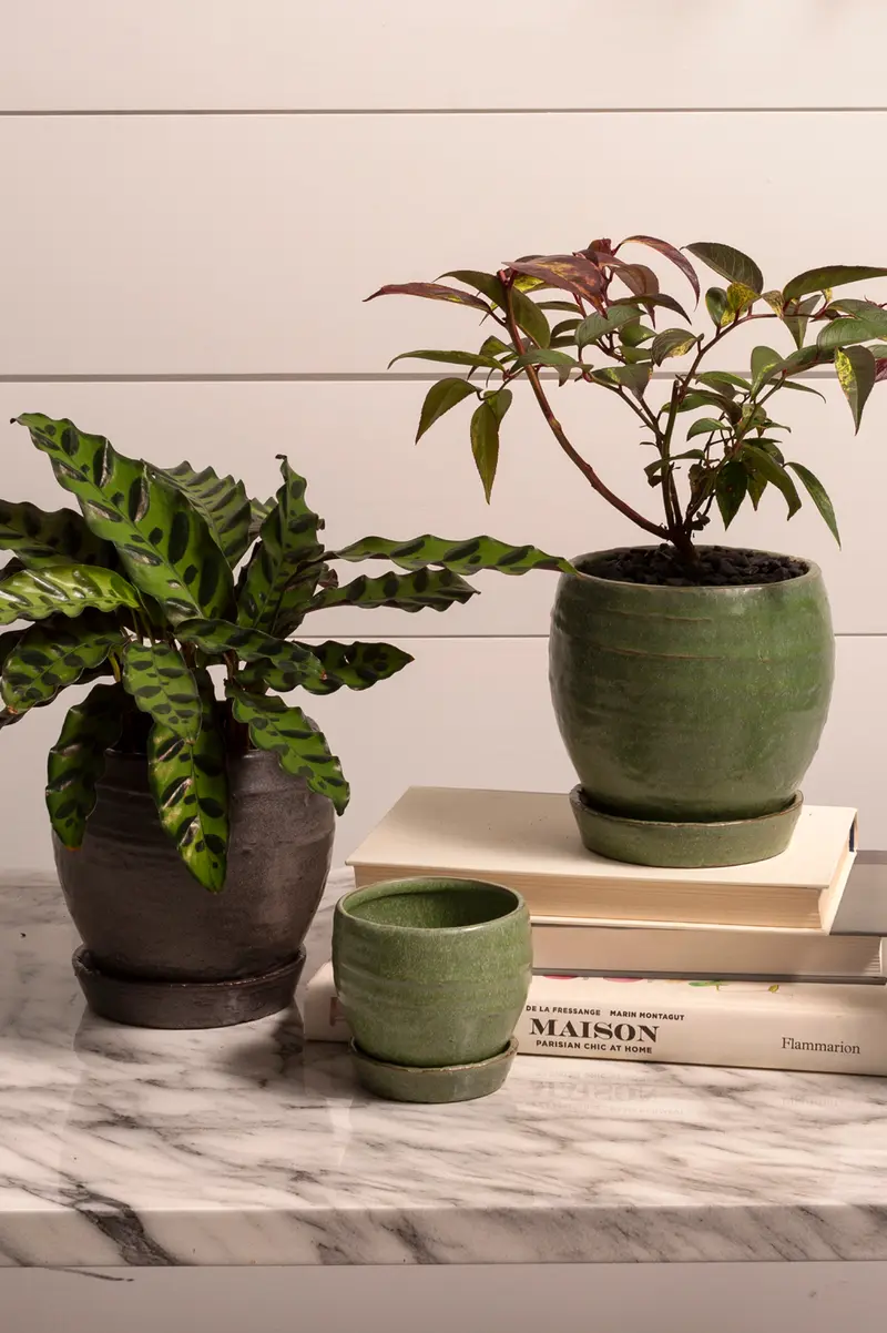 Bradford Pot Set of 8 By Accent Decor