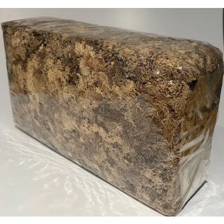 Braun Sphagnum Moss