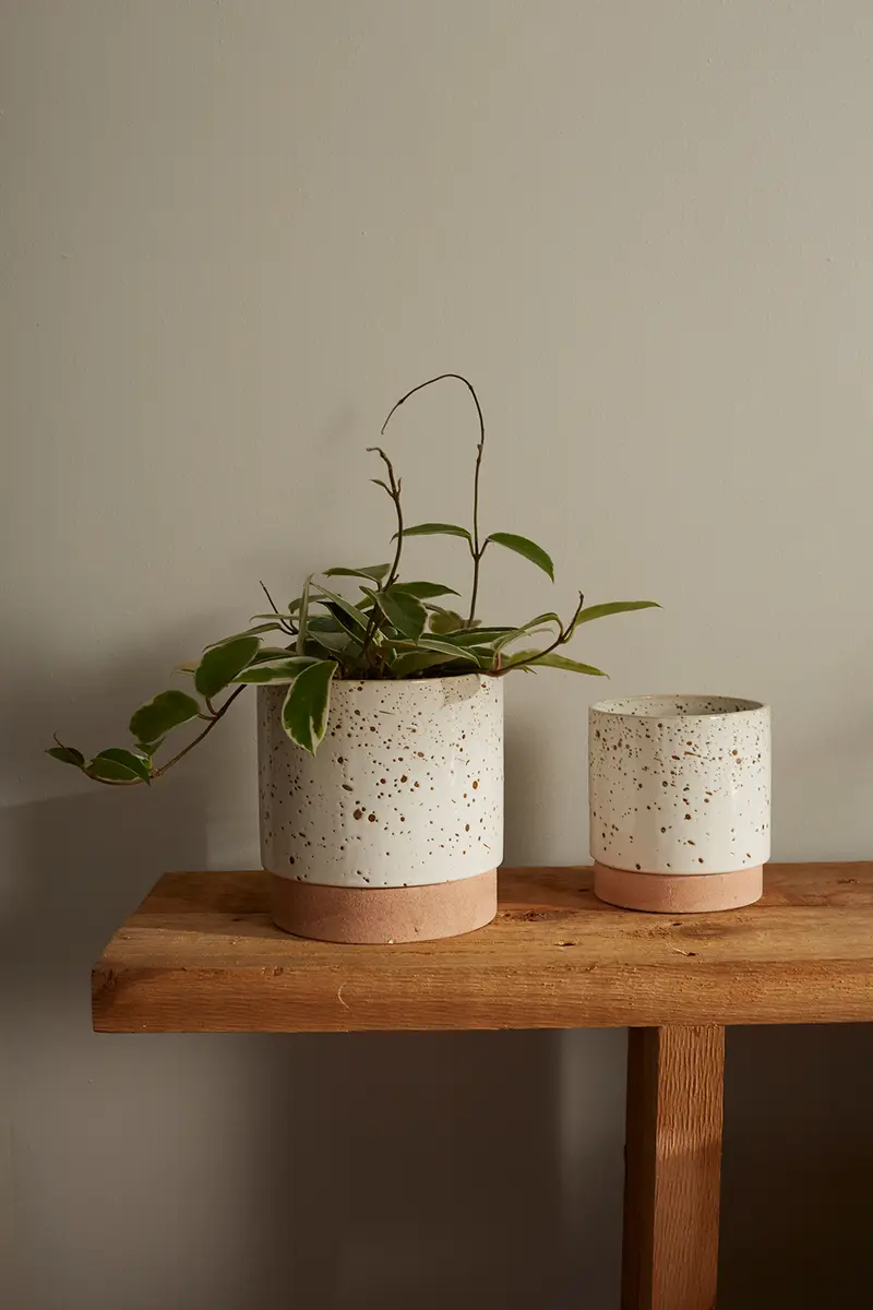 Briar Pot Set of 4 By Accent Decor