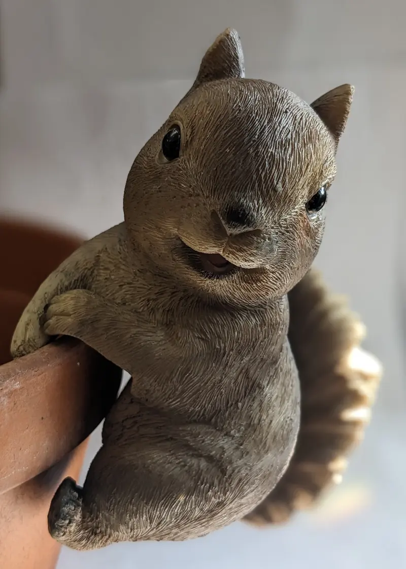 Brown Squirrel Pothanger