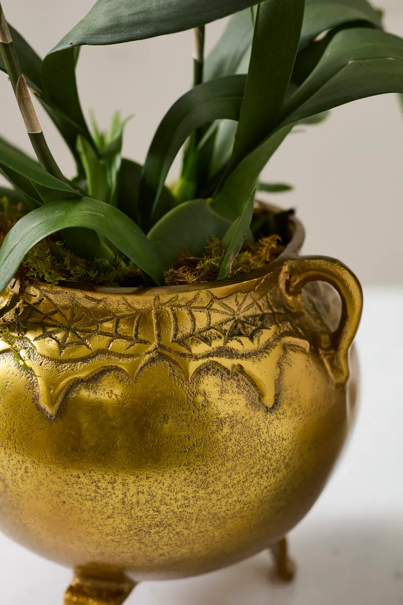 Bubbling Cauldron By Accent Decor