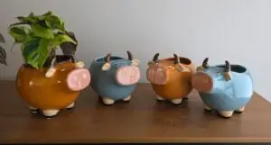 Bull Planter