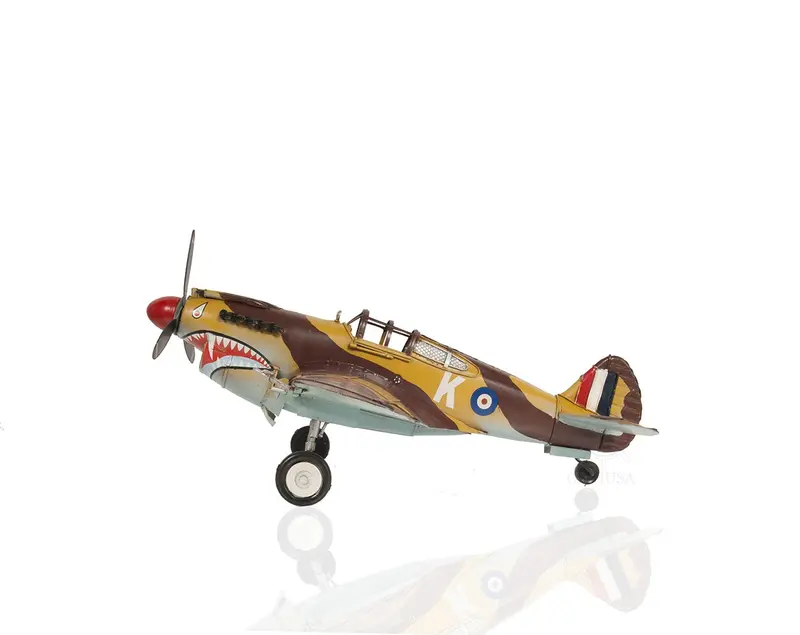 c1941 Curtiss Hawk 81A Large Sculpture By Homeroots