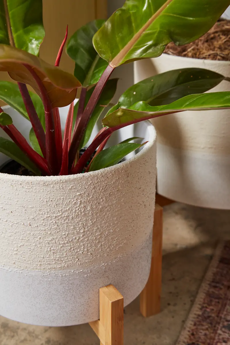 Calvia Pot with Stand Set of 2 By Accent Decor