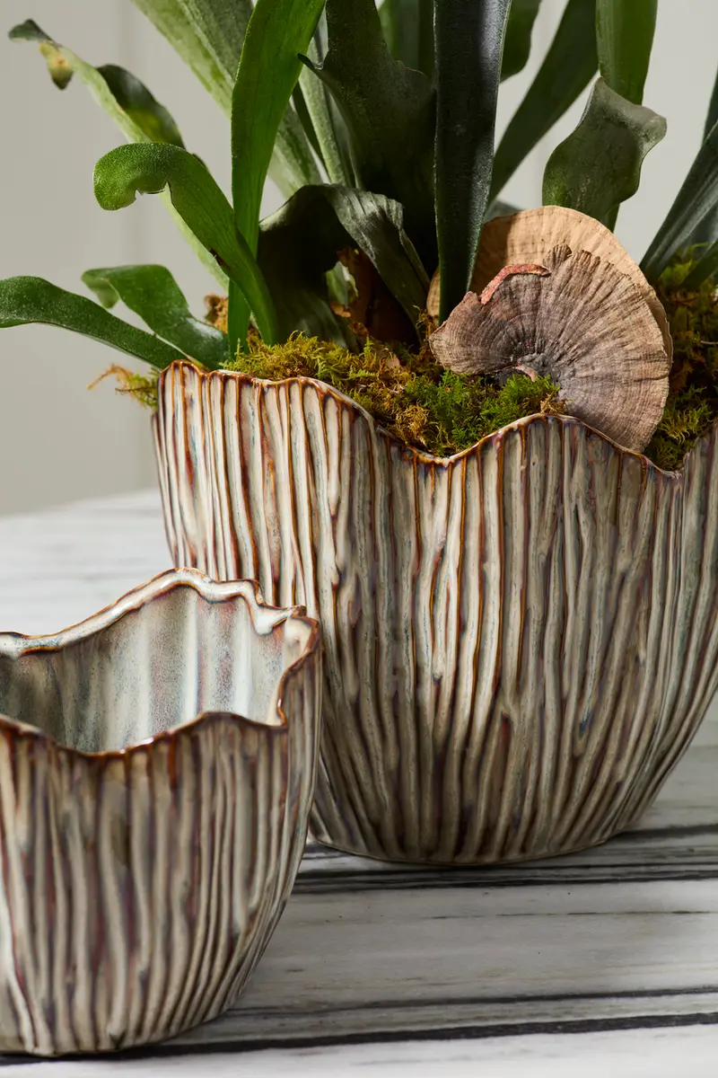 Capira Pot Set of 2 By Accent Decor