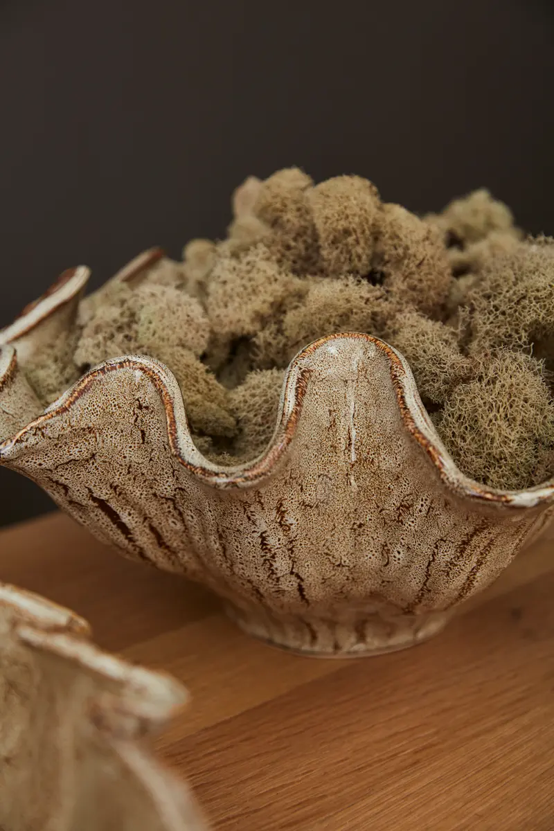 Caraway Bowl Set of 2 By Accent Decor