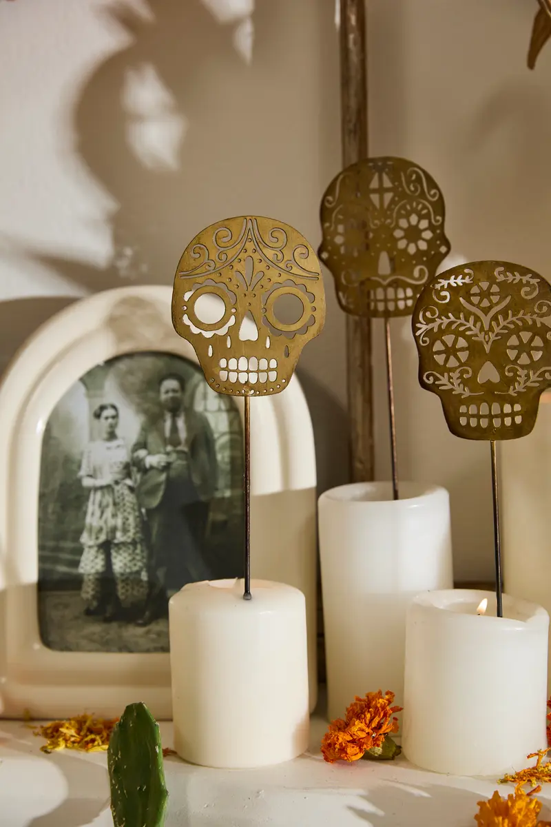 Careta Plant Sticks - Set of 12 By Accent Decor