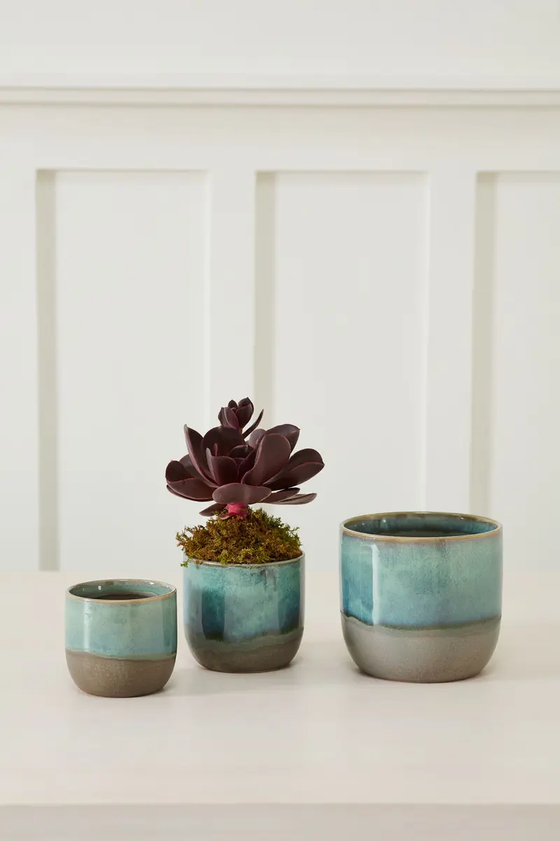 Caribe Pot Set of 8 By Accent Decor